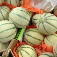 Melons dans le rayon d'un supermarché.