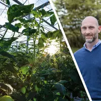 Montage de deux photos : d'un côté le soleil qui frappe contre une serre et de l'autre Ronan Collet, nouveau président de la coopérative Solarenn.