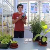 Différents leviers agroécologiques sont testés pour réduire les stress biotiques et abiotiques.
