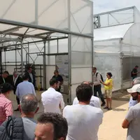 Dans sa dynamique d'innovation, Invenio a inauguré une nouvelle serre fermée plastique destinée à protéger les cultures sol et hors-sol.
