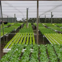 Les semenciers proposent des variétés adaptées aux différentes conditions de production hors-sol.