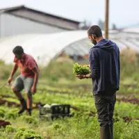 Les projets de ferme facilitent l’accès des candidats à des outils de production.