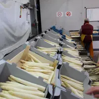 asperge station
