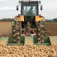 Plantation de pomme de terre variété markise, sous contrat avec un industriel de la transformation agroalimentaire Mc Cain. Agriculteur au volant de s