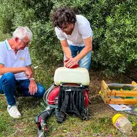 lutte mouche de l'olive