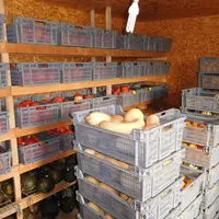 L’idéal est d’avoir plusieurs zones distinctes de stockage. Celle des courges doit être entre 12 et 14 °C avec une humidité autour de 70 %.