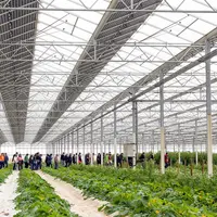 serre photovoltaïque