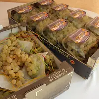 raisin - Chasselas moissac