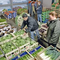 légumes commerce de gros