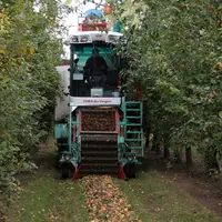 Récolte mécanique des pommes à cidre. Verger de pomme. Arboriculture fruitière. Machine en Cuma. Matériel agricole.