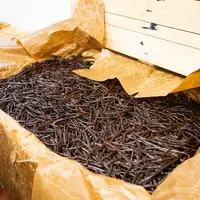 Vanille bretonne cultivée sous serre en malle d’affinage.