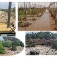 Captures d’écran de différentes photos montrant les dégâts suite à la tempête Dana dans le sud de l’Espagne.