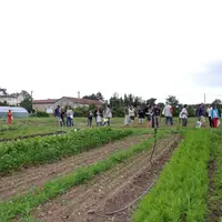maraîchage sur petite surface