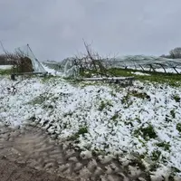 dégâts neige vergers tempête Caetano