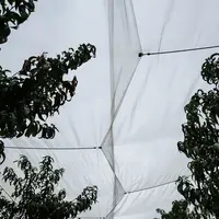 « Le filet réduit la luminosité d’environ un quart, donc il faut se tourner vers des variétés qui colorent bien », constate l&