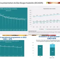 Graphiques montrant l'évolution du nombre d'organisations de producteurs de fruits et légumes en Europe, la valeur des produits qu'ils représentent, e
