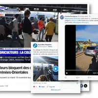 Captures d'écran de comptes X et de site internet de différents média, titrant sur le blocage des agriculteurs à Perpignan.