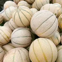 Melon charentais