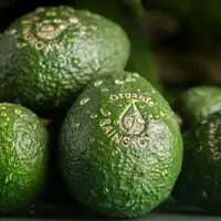 des avocats avec le logo Organic Raingrown gravé sur leur peau