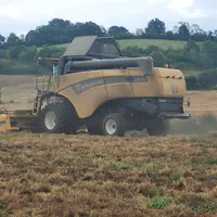 récolte de lentilles chez un producteur d'Euralis