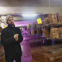 La Caverne - culture de champignons - Paris