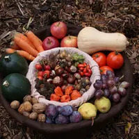 Une corbeille de fruits et légumes d'automne posée sur la terre
