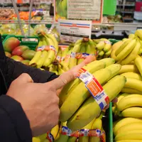Une main de bananes enrubannée en bleu blanc rouge, dans un rayon de fruits et légumes de la grande distribution.