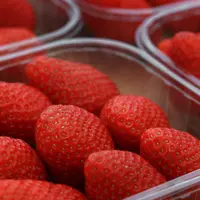 Une barquette en plastique de fraise