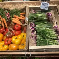 Fruits et légumes en grande surface : radis, carottes, tomates.