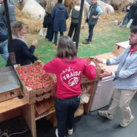 sur un stand au salon de l'agriculture dégustation de fraise