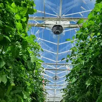 déshumidificateur serre tomate chauffage
