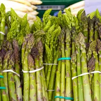 des bottes d'asperges vertes
