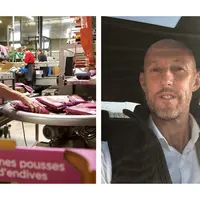 deux photos, la première est un poste de conditionnement d'endives, la deuxième un portrait de philippe dupont