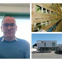 Montage de trois photos : portrait de Serge Le Bonniec ; des palettes de choux-fleurs ; un entrepôt vue de dehors avec un camion