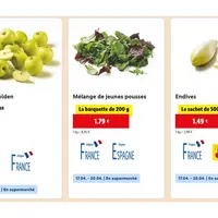 Capture d'écran site Internet Lidl le 17 avril 2025