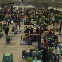 activité sur le marché de gros de valencia mercavalencia. Vu de haut