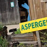 <em class="placeholder">Les asperges, mais aussi les fleurs à bulbe en libre cueillette, constituent l'essentiel de l'activité printanière d