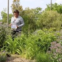 « Les restaurateurs intègrent de plus en plus de fleurs dans leurs assiettes », assure Pauline Dominicy.