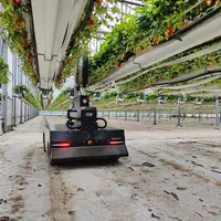 Les serres doivent être adaptées aux spécificités du robot – sol plat, gouttières – pour faciliter et sécuriser ses déplacemen