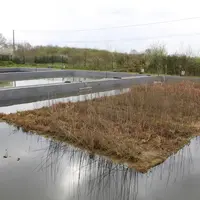 La couverture végétalisée ne couvre que 50 % de la surface du bassin, soit à peu près la surface en fond de bassin, pour que l