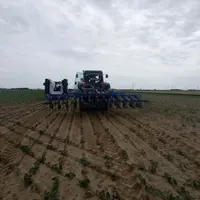 bineuse sur une parcelle de haricots pour l'industrie. hauts-de-france. visite de presse Unilet