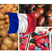 Des kiwis, petits fruits rouges et des châtaignes barrées d'un drapeau français.