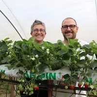 Dorothée et Antton DIRATCHETTE, associés du Gaec Lekuberri, dans leurs serres de production de fraises.