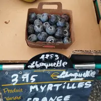 Barquette de myrtilles origine France chez un détaillant.