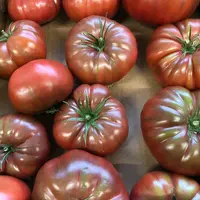 46,5 % des foyers ont acheté au moins une fois des tomates côtelées sur un an, au 13 juillet 2025.