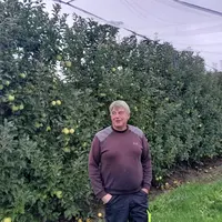 Patrice Blanchet, agriculteur et pomiculteur en Haute-Vienne, pose devant son verger. Les pommiers sont protégés par des filet