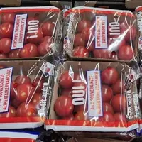 Des barquettes de tomates cerises emballées dans du plastique, origine France ("Tomates souveraines").