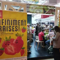 Lancement de la saison 2026 pour la fraise Label Rouge par l'Association des Fruits et Légumes du Lot-et-Garonne (AIFLG)<