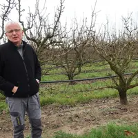 <em class="placeholder">Marc Fauriel, producteur de poires bio à Loriol sur Drôme devant un verger de la variété Conférence, âgé de quinze ans.</em>