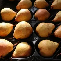 Poires de variété Kiara®, lors d'une présentation variétale le 8 janvier 2026 à la station de la Pugère (13).
